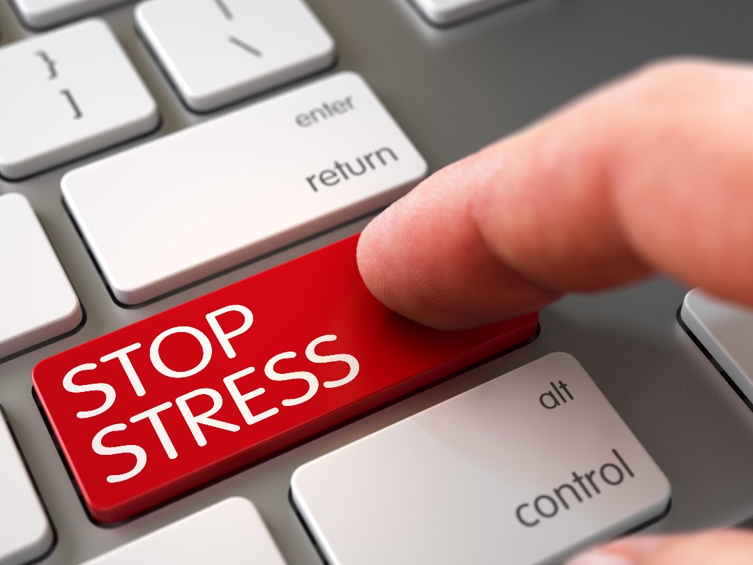 Reduce your levels of stress! Reduce your levels of stress!