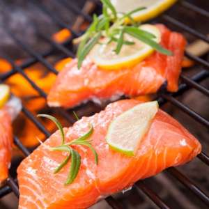 Salmon